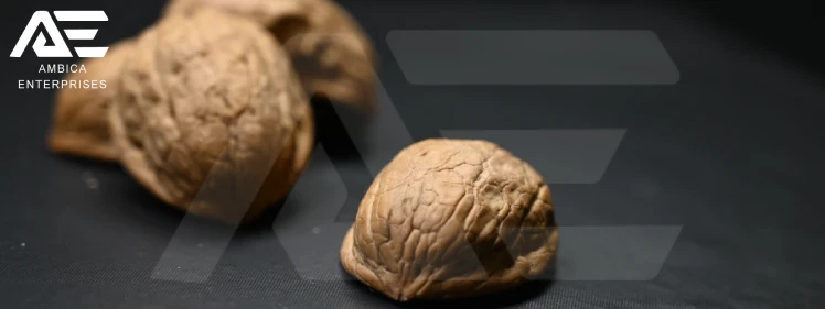 Walnut Shell - Image 3