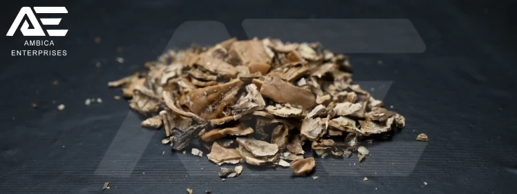 Walnut Shell - Image 5