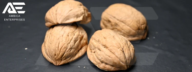 Walnut Shell